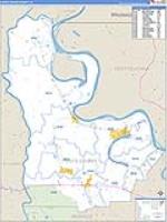 Pointe Coupee Parish (), La Carrier Route Wall Map